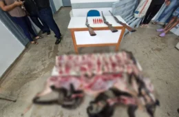 Seis homens são presos por caça ilegal e porte de arma na zona rural de Juruá, no Amazonas