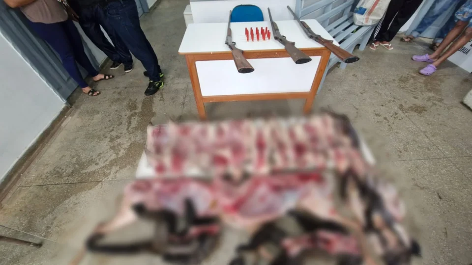 Seis homens são presos por caça ilegal e porte de arma na zona rural de Juruá, no Amazonas