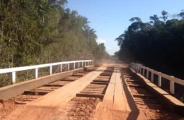 Ibama autoriza construção de três pontes de concreto no Trecho do Meio da BR-319