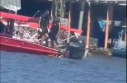 CENA FORTE: veja momento em que corpo de homem atacado por piranhas é resgatado no AM