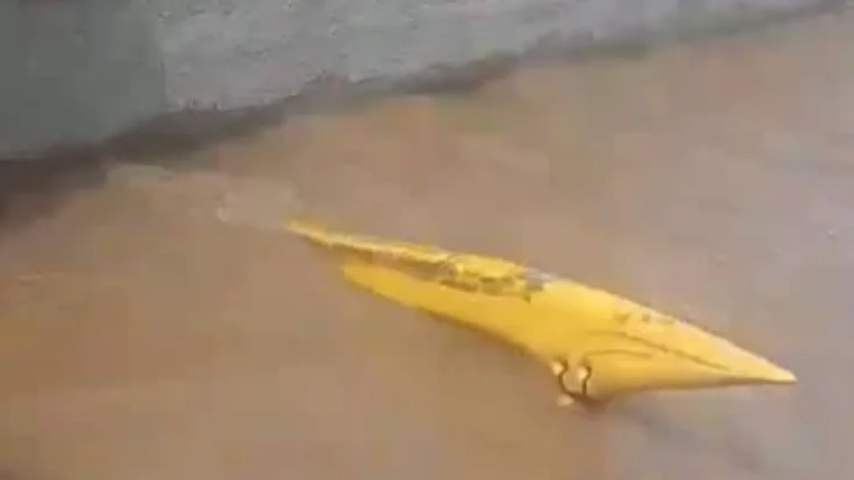 Grupo em caiaque é atingido por balsa e caso gera repercussão em Belém