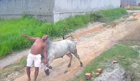 Vídeo: Homem é arremessado após levar cabeçada de boi solto em rua de Pernambuco