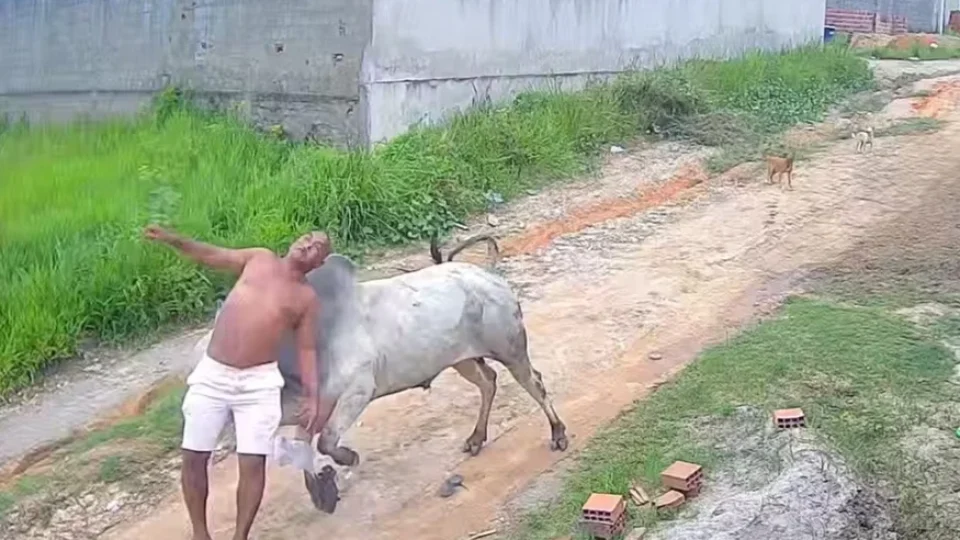 Vídeo: Homem é arremessado após levar cabeçada de boi solto em rua de Pernambuco