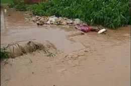VEJA VÍDEO: chuva forte deixa ruas submersas e causa prejuízos em bairros de Manaus