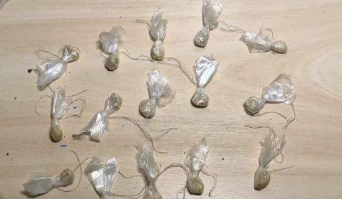 PM apreende maconha e prende suspeito em Ananindeua.