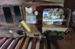 Adolescente é detido com mais de 260 porções de drogas em Triunfo, Rondônia