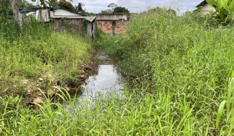 Moradores denunciam abandono em trecho da Rua Diana no Jardim Santana em Porto Velho