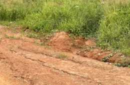 Moradores do Planalto II denunciam falta de iluminação e infraestrutura em avenida