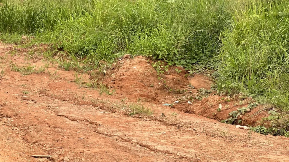 Moradores do Planalto II denunciam falta de iluminação e infraestrutura em avenida