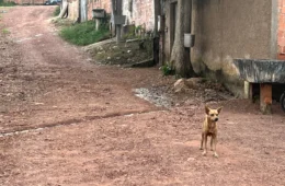 Trecho sem asfalto na Rua Bom Jesus gera revolta e preocupação com erosão