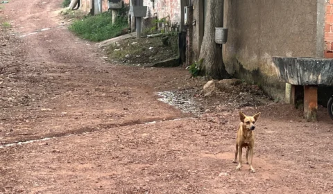 Trecho sem asfalto na Rua Bom Jesus gera revolta e preocupação com erosão