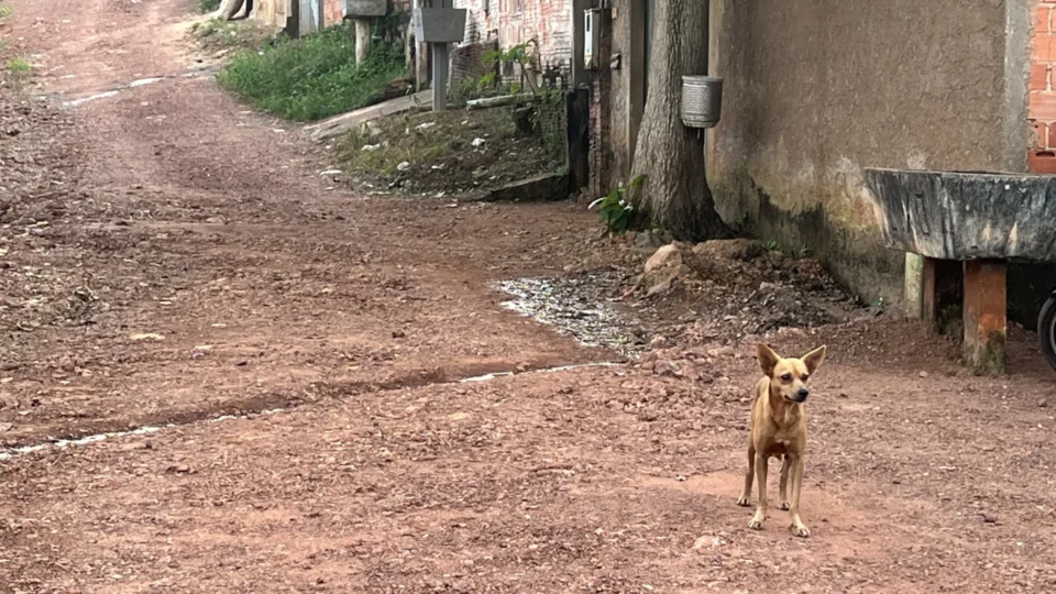 Trecho sem asfalto na Rua Bom Jesus gera revolta e preocupação com erosão