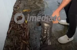 Cinegrafista escapa de ferimento após pisar em prego durante reportagem.