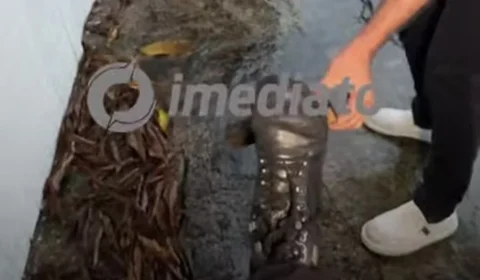 Cinegrafista escapa de ferimento após pisar em prego durante reportagem.