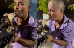 Vídeo: Homem é mordido na boca por mucura durante tentativa de captura do animal