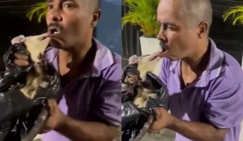 Vídeo: Homem é mordido na boca por mucura durante tentativa de captura do animal