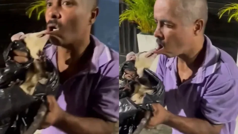 Vídeo: Homem é mordido na boca por mucura durante tentativa de captura do animal