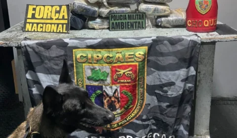 Mulher é presa com mais de 11 kg de skunk durante fiscalização em embarcação no Amazonas