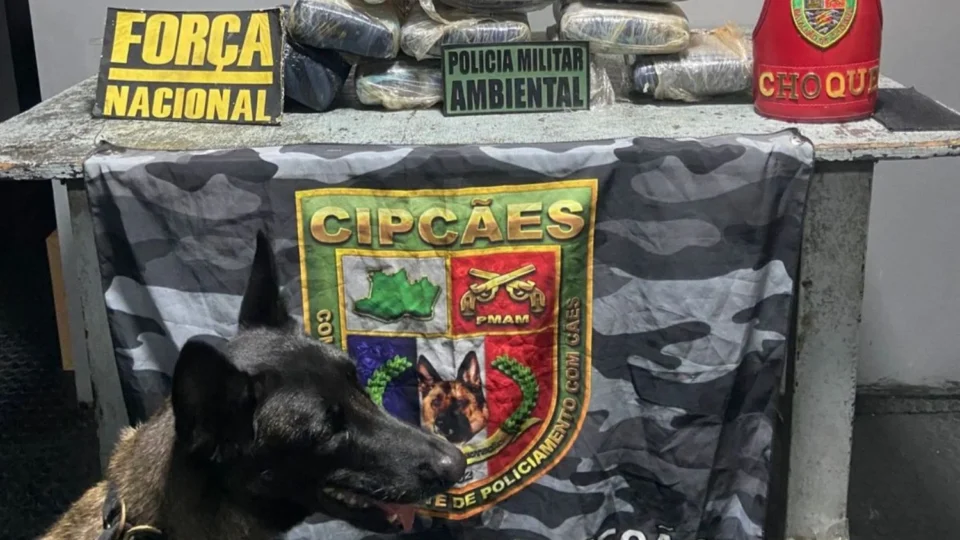 Mulher é presa com mais de 11 kg de skunk durante fiscalização em embarcação no Amazonas