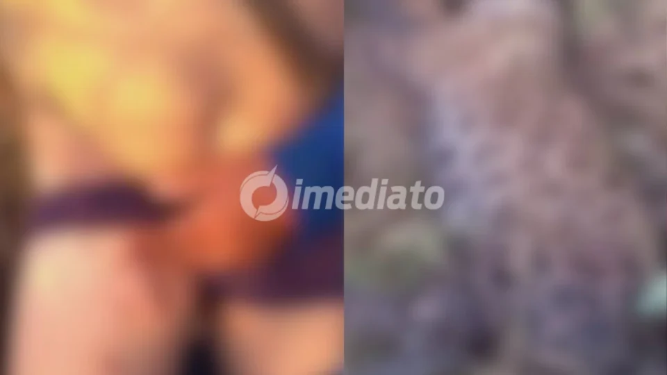 VEJA VÍDEO: Homem sobrevive a ataque de onça-pintada e mata animal em Autazes, no Amazonas
