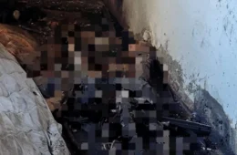 Cena macabra: Ossada humana sem crânio é encontrada em prédio abandonado no Centro de Manaus