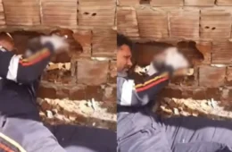Bebê recém-nascido é encontrado entre paredes de residências e resgatado com vida na Paraíba