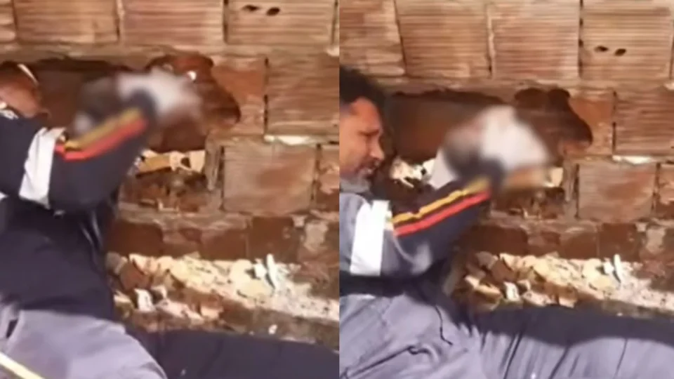 Bebê recém-nascido é encontrado entre paredes de residências e resgatado com vida na Paraíba