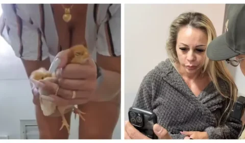 Mulher é presa suspeita de torturar e matar animais para vender vídeos na internet em São Paulo