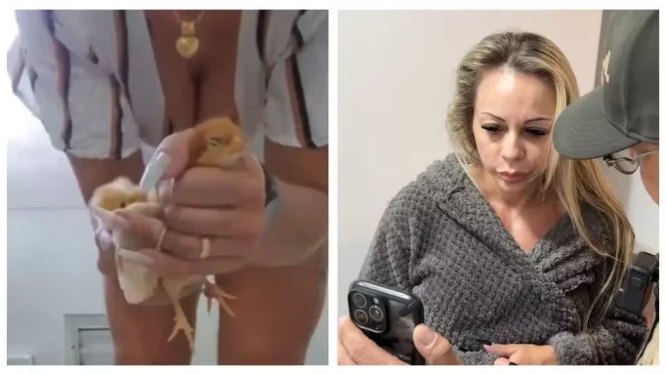 Mulher é presa suspeita de torturar e matar animais para vender vídeos na internet em São Paulo