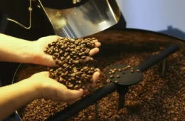 Brasil exporta 3,1 milhões de sacas de café em abril, mas queda nos preços internacionais derruba receita em 17,7%