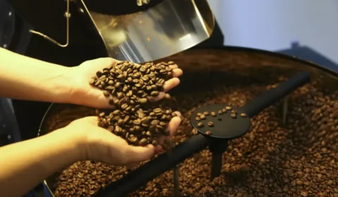 Brasil exporta 3,1 milhões de sacas de café em abril, mas queda nos preços internacionais derruba receita em 17,7%