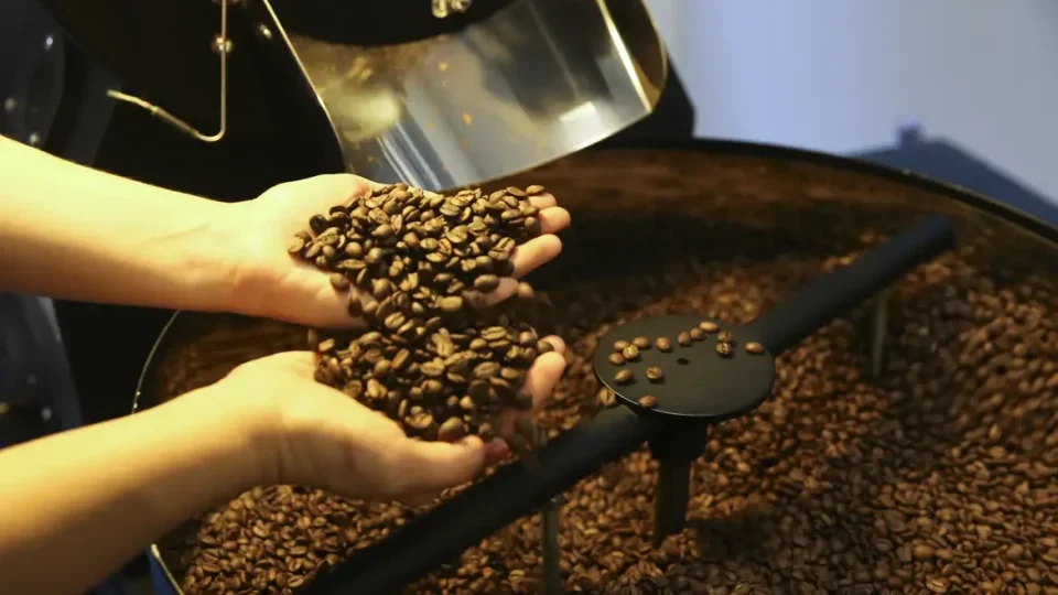 Brasil exporta 3,1 milhões de sacas de café em abril, mas queda nos preços internacionais derruba receita em 17,7%