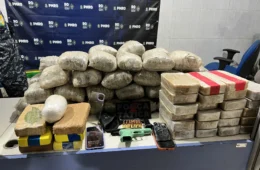 Casal é preso com 82 quilos de drogas e arma durante abordagem na BR-364