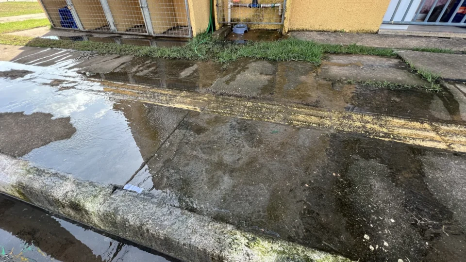 Moradores denunciam transbordamento de esgoto no residencial Porto Madero II em Porto Velho