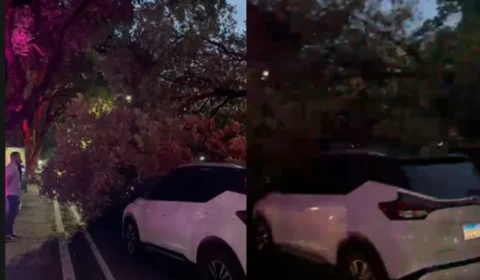 Árvore cai sobre dois carros na Avenida Getúlio Vargas e mobiliza bombeiros em Manaus