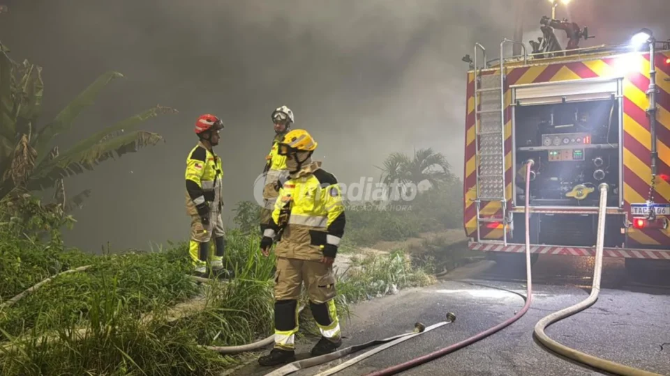 Veja vídeo: Incêndio atinge área de vegetação no Grande Vitória após queima de fogos