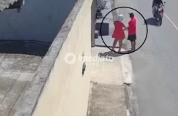 VEJA VÍDEO: Homem finge pedir água e rouba celular de moradora no bairro Santa Etelvina, em Manaus