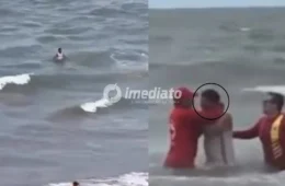 VEJA VÍDEO: homem é preso após ignorar alertas e entrar no mar em área com ataques de tubarão