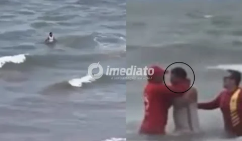 VEJA VÍDEO: homem é preso após ignorar alertas e entrar no mar em área com ataques de tubarão