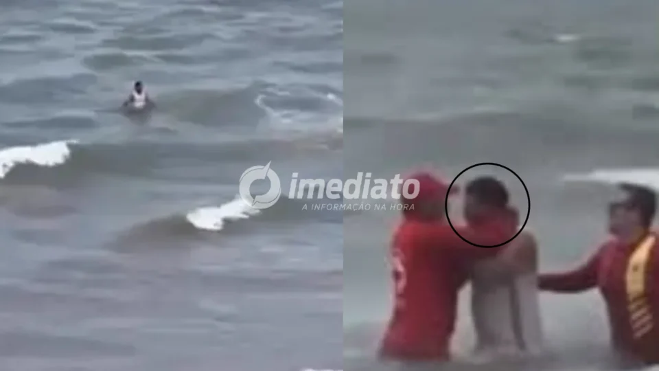 VEJA VÍDEO: homem é preso após ignorar alertas e entrar no mar em área com ataques de tubarão