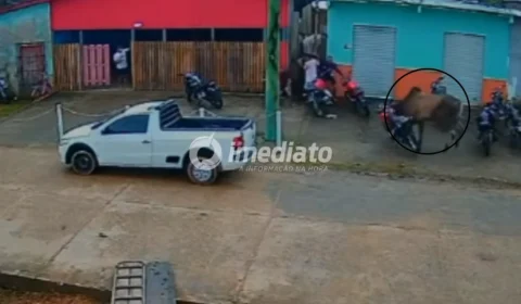 VEJA VÍDEO: Boi solto provoca correria, derruba motocicleta e assusta moradores no interior do Amazonas