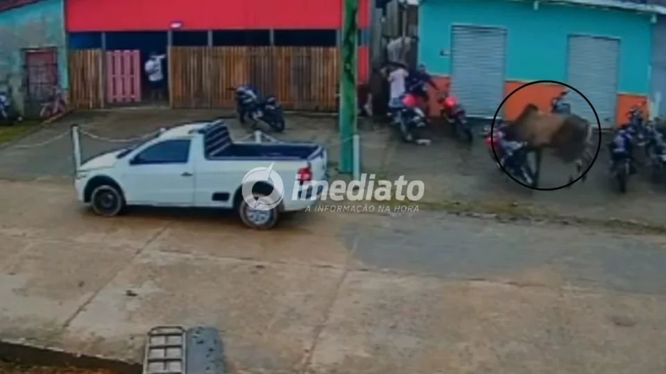 VEJA VÍDEO: Boi solto provoca correria, derruba motocicleta e assusta moradores no interior do Amazonas
