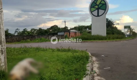 Moradores denunciam suposto envenenamento de cães e gatos no residencial Parque Mosaico, em Manaus