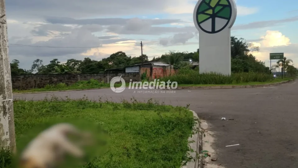 Moradores denunciam suposto envenenamento de cães e gatos no residencial Parque Mosaico, em Manaus
