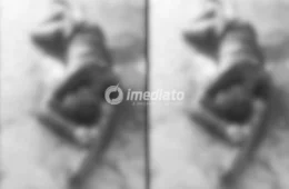IMAGEM FORTE: Jovem esfaqueado pelo próprio irmão morre no hospital após briga familiar no bairro Lago Azul