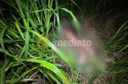 Vídeo brutal: Homem é morto a golpes de terçado na cabeça; velas pretas são encontradas ao lado do corpo nu