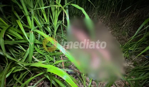 Vídeo brutal: Homem é morto a golpes de terçado na cabeça; velas pretas são encontradas ao lado do corpo nu
