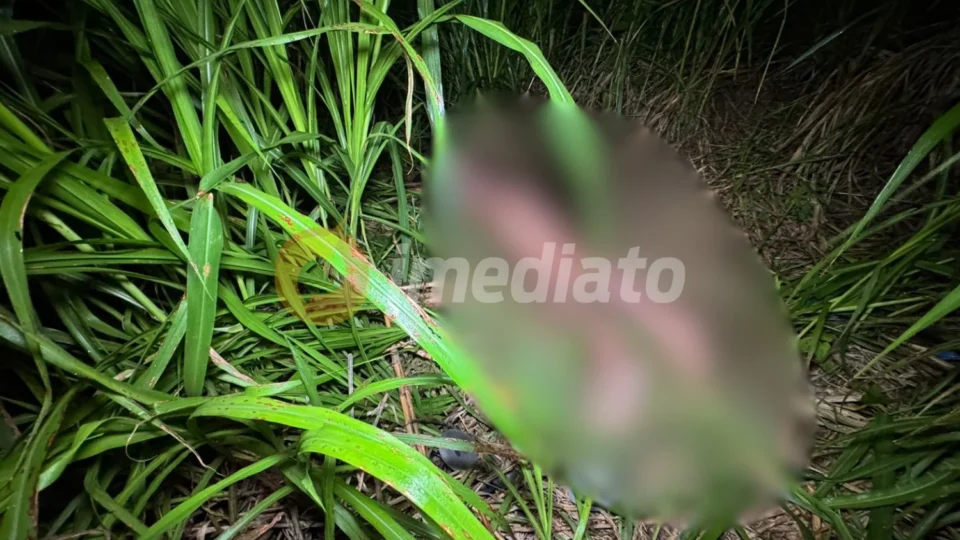 Vídeo brutal: Homem é morto a golpes de terçado na cabeça; velas pretas são encontradas ao lado do corpo nu