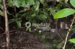 Imagens fortes: Corpo de homem é encontrado em área de mata no Ramal Ipiranga, na Zona Leste de Manaus