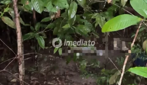 Imagens fortes: Corpo de homem é encontrado em área de mata no Ramal Ipiranga, na Zona Leste de Manaus